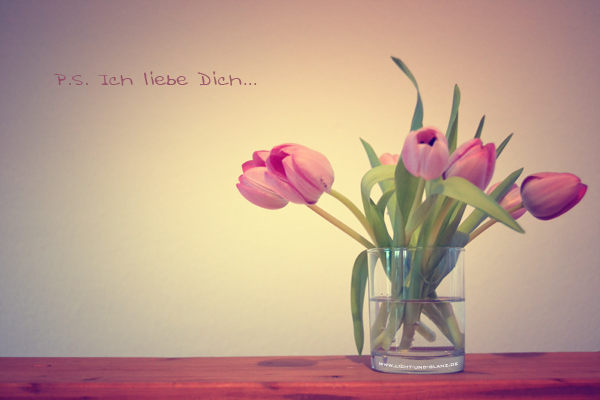 *P.S. Ich liebe dich*