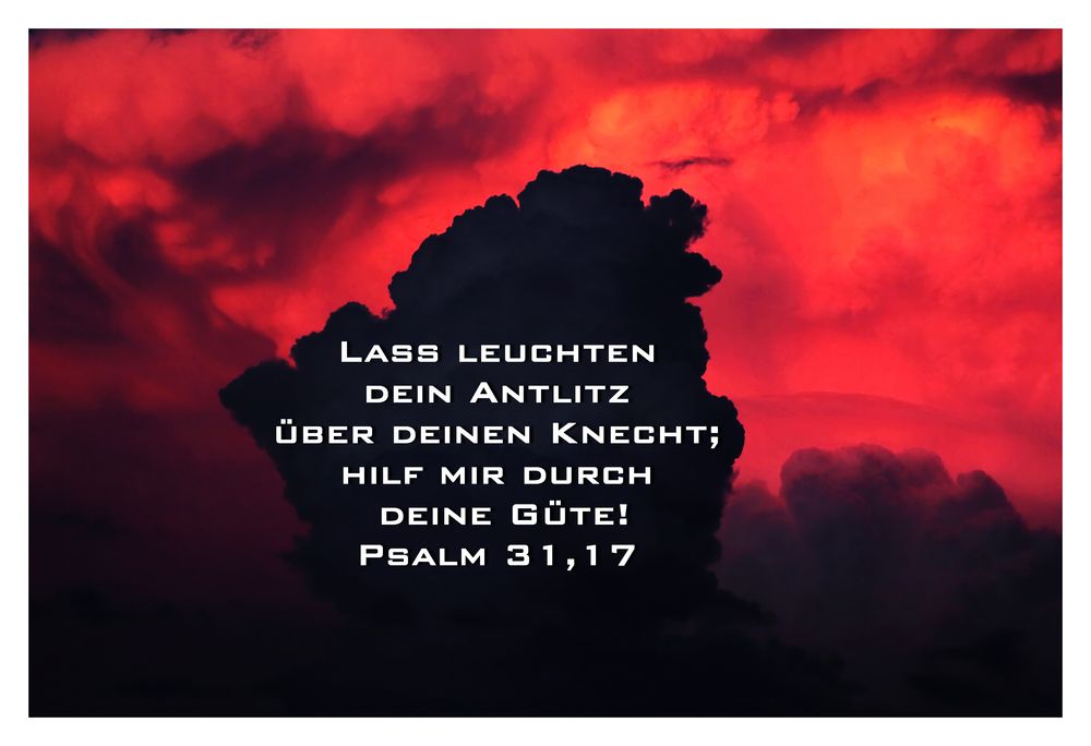 Psalm 31,17