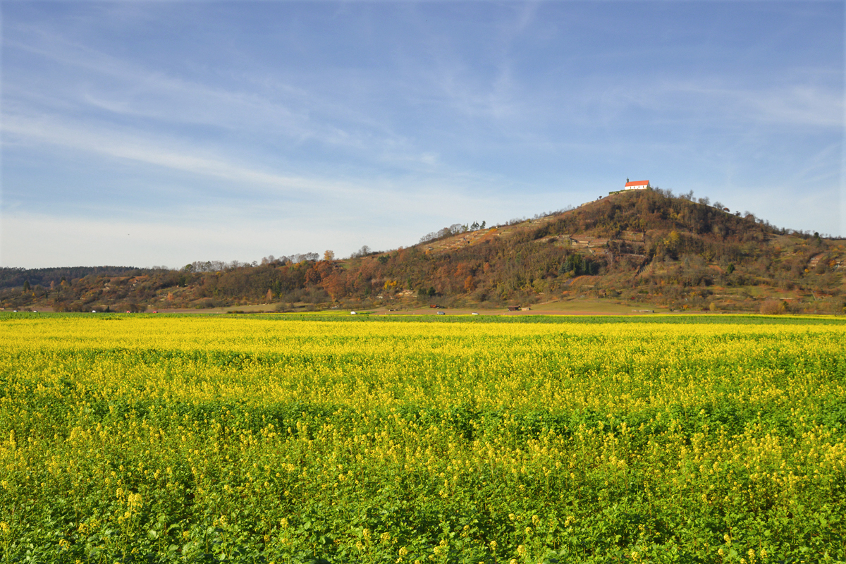 Pseudo-Frühling