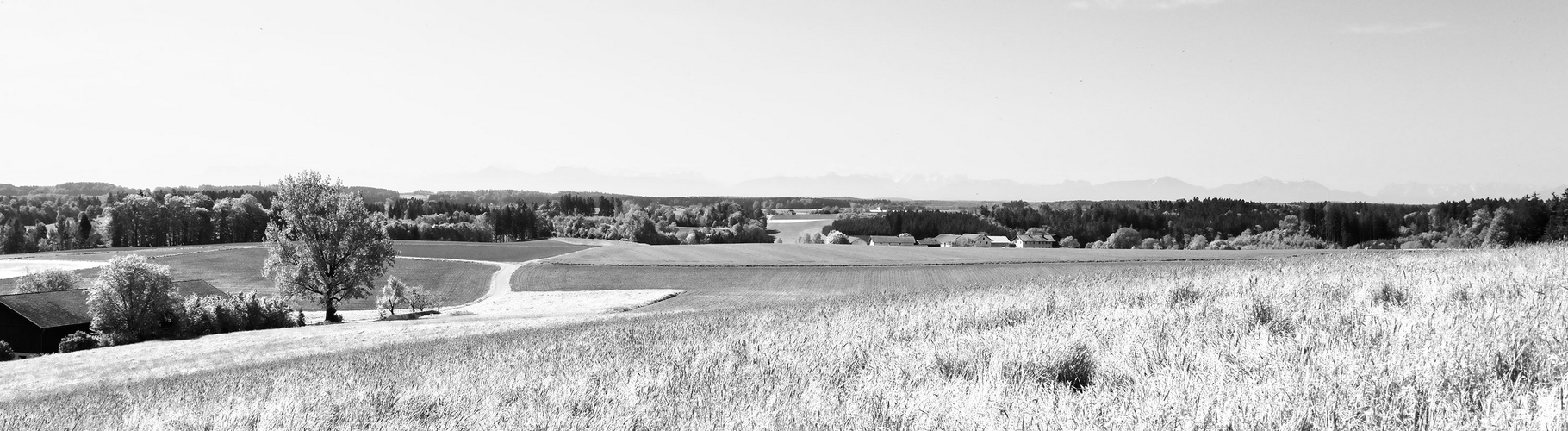 Pseudo-IR Alpenpano von Biering