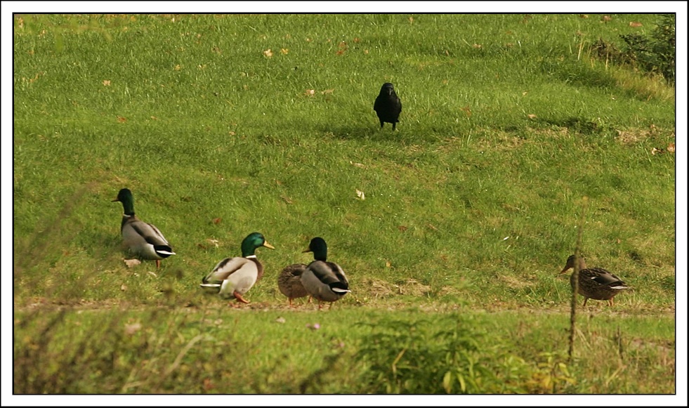 " Psssst, Big Brother ist watching us !"