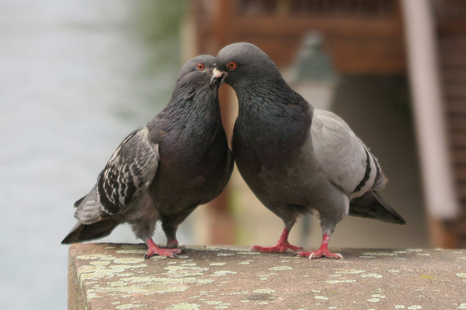 Pssst... ich erzähle dir was!