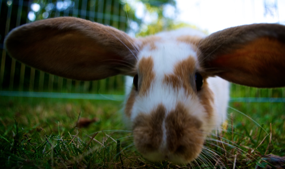 Pssst, ich flieg gleich ne Runde, kommste mit?