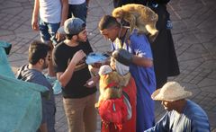 P_street Mann Affe maroc c75d-805- col Mann_affe_platz_marocT2_nbvdez24