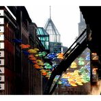 P_street Sonne Schirme HH p30-IMG_20251002_114110