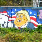 P_street TRUMP HATE HH lum-204-col