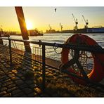 P_sunrise Elbe HH p30-IMG_20230924_091756