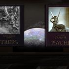 Psyche & Trees