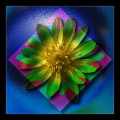 psychedelic-flower-power