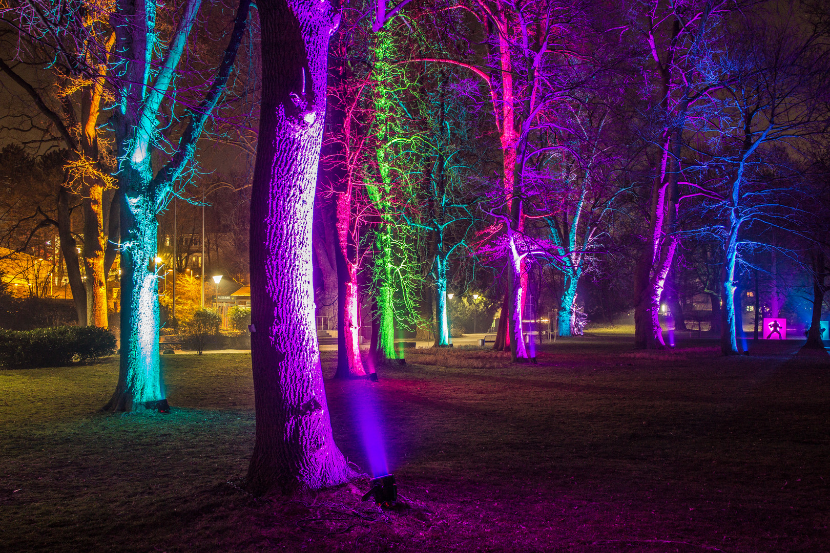 Psychedelic Trees