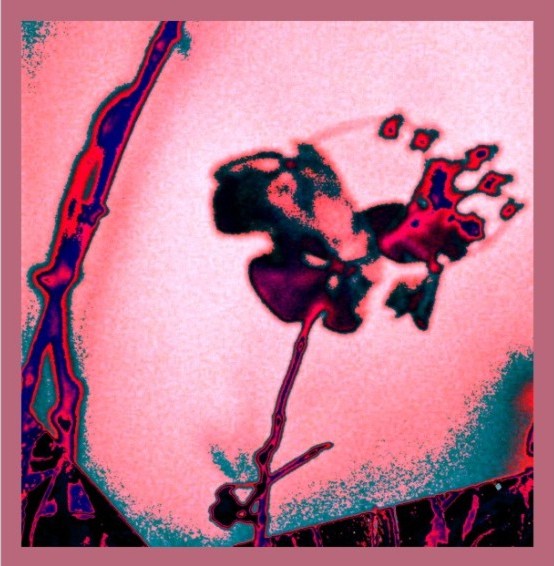 psychedelische Blume