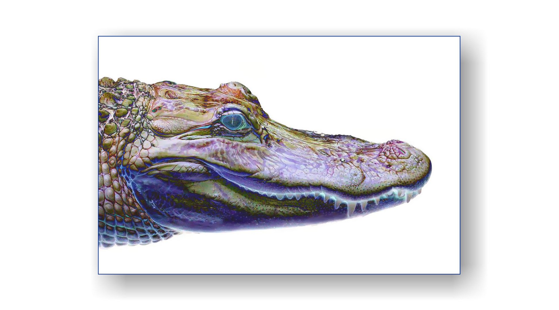 Psychedelisches Krokodil