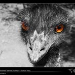 Psycho-Emu (Colorkey)