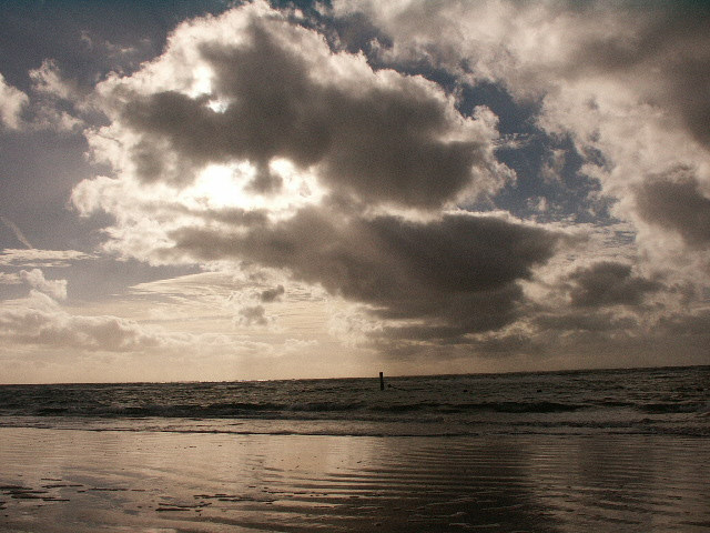 Psychologie am Meer