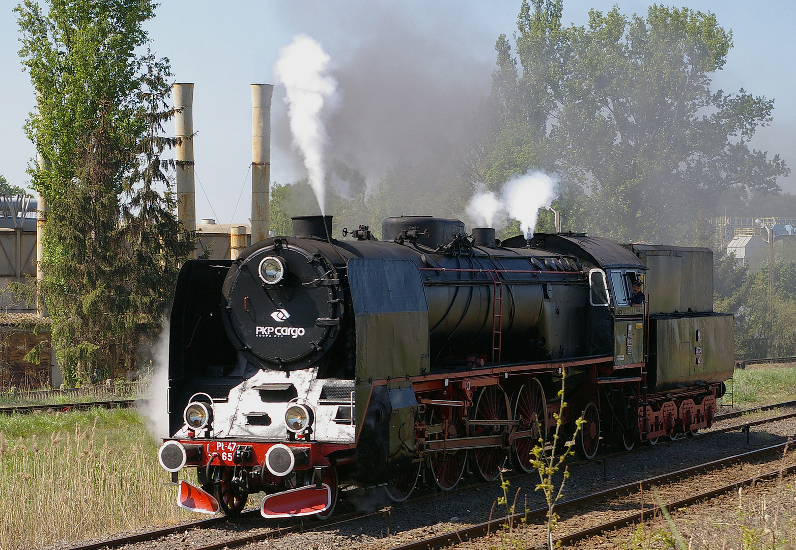 Pt47-65 in Wolsztyn, 2009