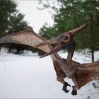 Pteranodon