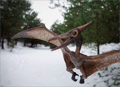 Pteranodon