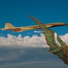 Pteranoide