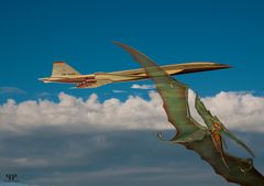 Pteranoide