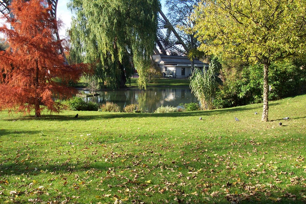 pêtit jardin d'automne