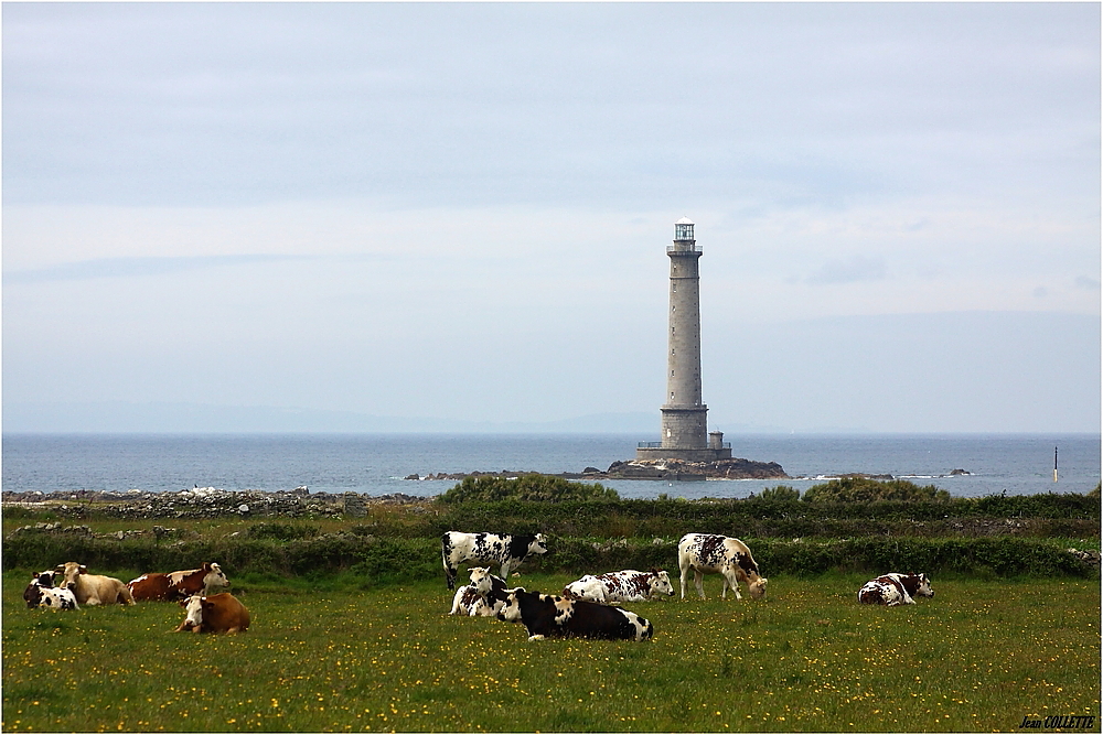 " Pâturage en Normandie. "