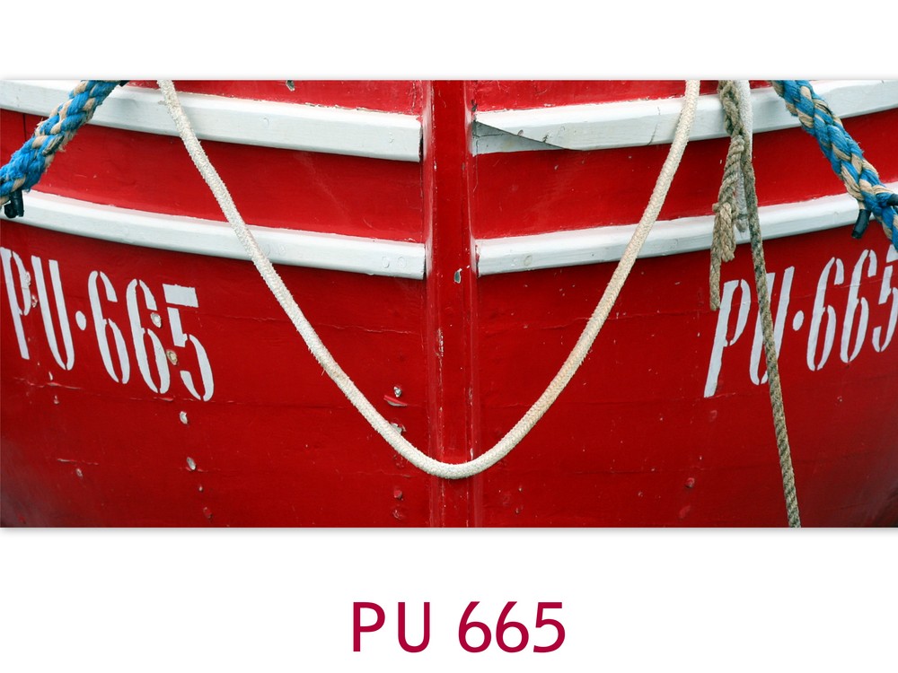 PU 665