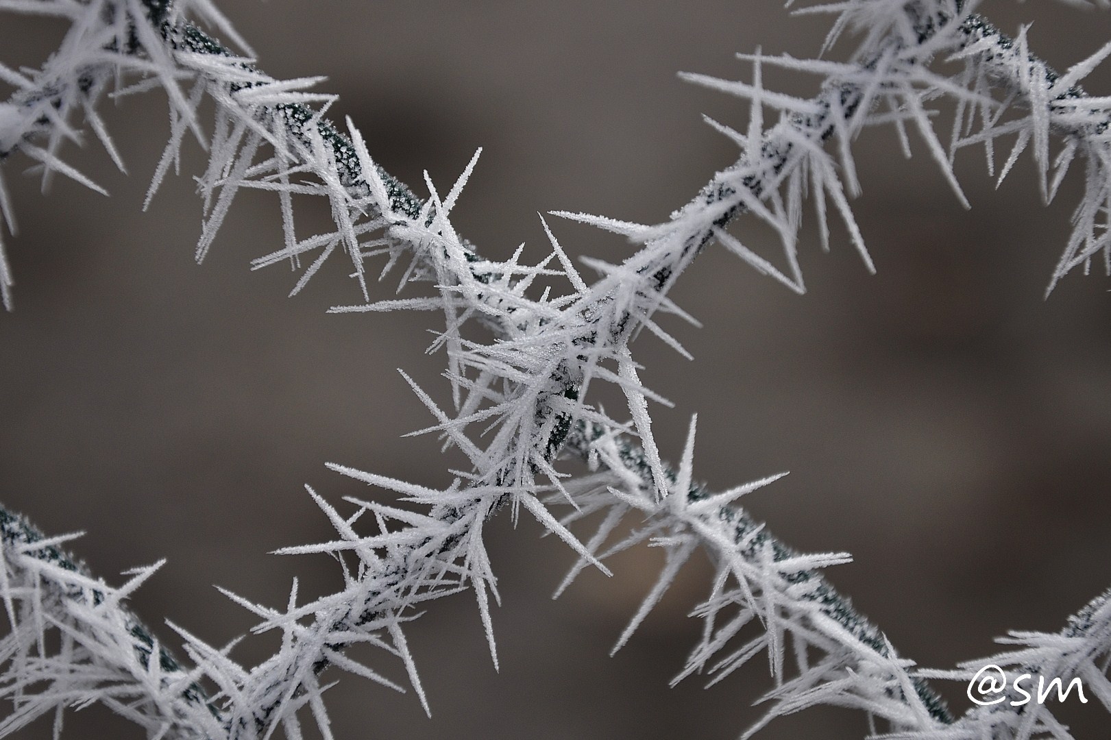 Púas de hielo