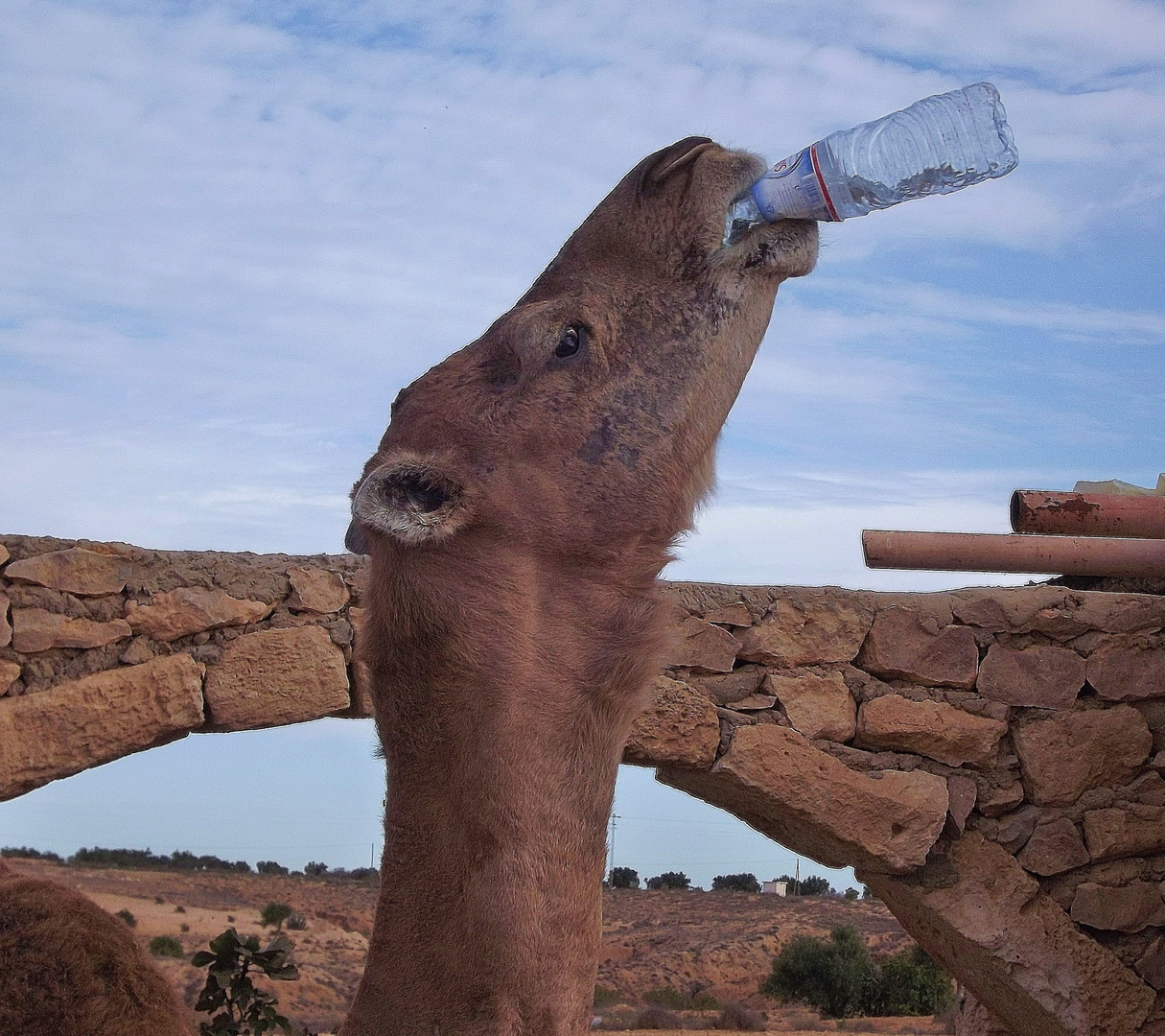 Pub pour de l'eau minérale