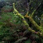 Public Footpath...