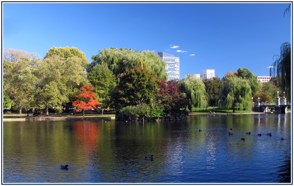 Public Garden - Boston, MA