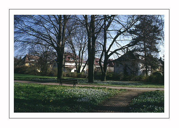 Public Park in Stuttgart Vaiingen
