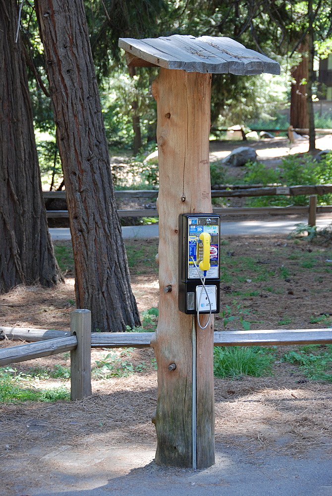 Public Phone