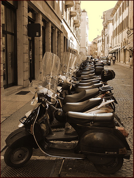 Public Transport in Verona