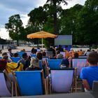 Public Viewing, gemeinsam