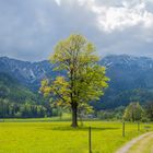 Puchberg am Schneeberg