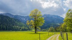 Puchberg am Schneeberg