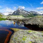 Pucherseeli 2 mit Düssistock , Golzneralpen