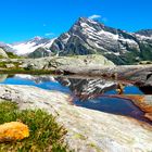 Pucherseeli 2 , mit Düssistock , Maderanertal URI