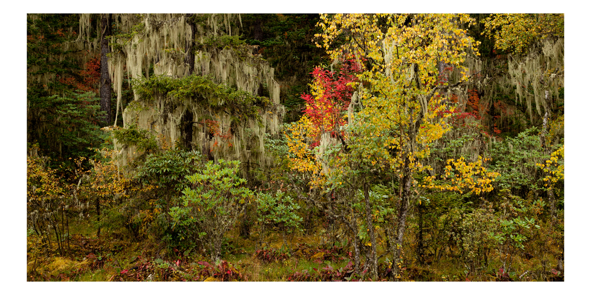 PUDACUO NATIONAL PARK