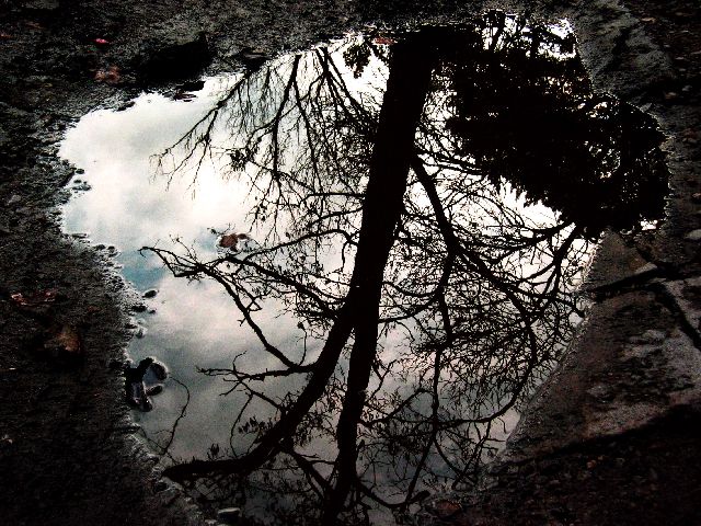 puddle