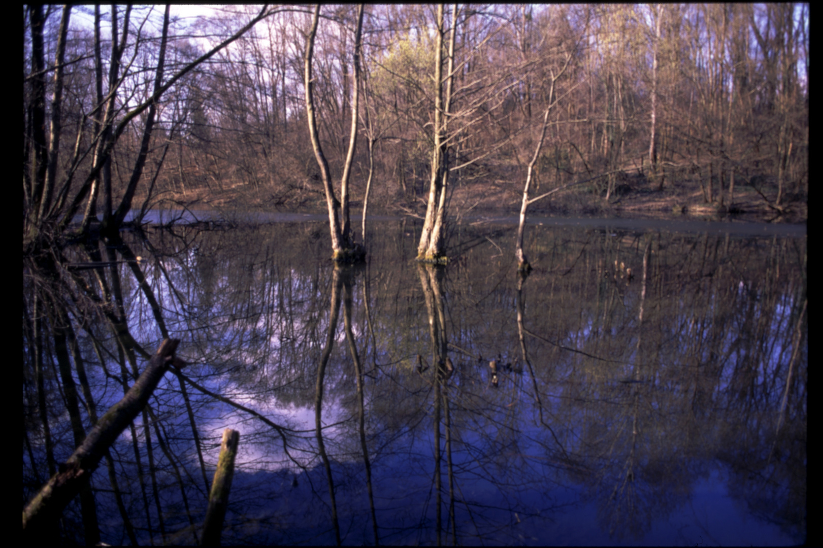 [ Puddle ]