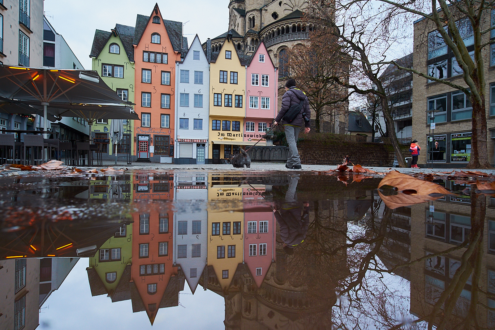 Puddle in Cologne