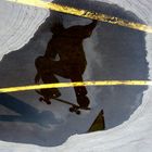 puddle of skate