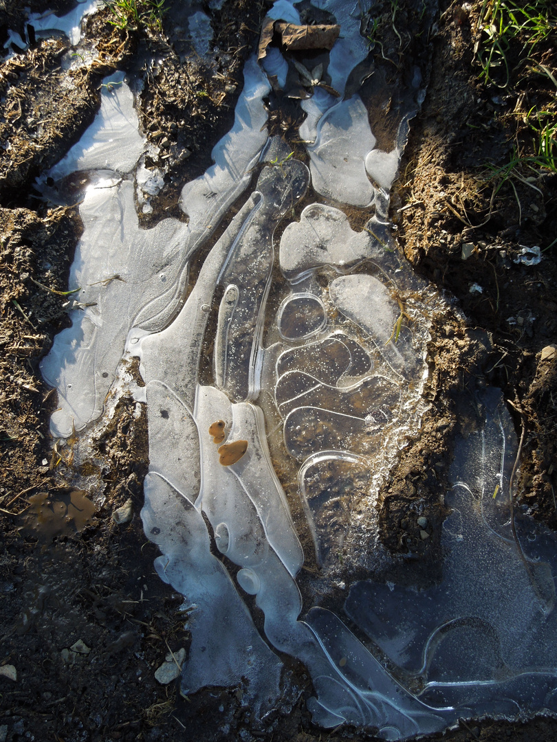 Puddle patterns