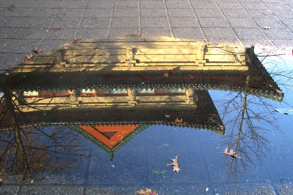 Puddle with a Difference