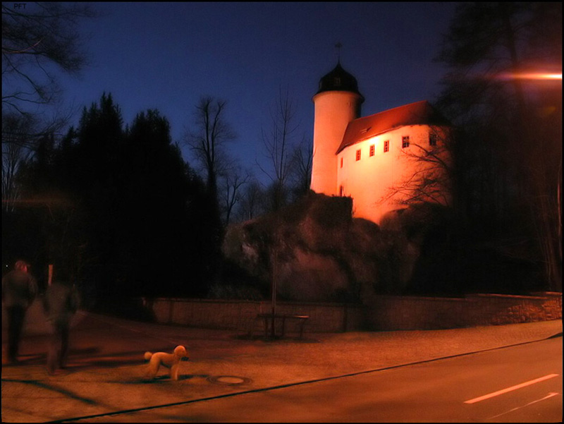 Pudel vor Burg Rabenstein