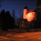 Pudel vor Burg Rabenstein