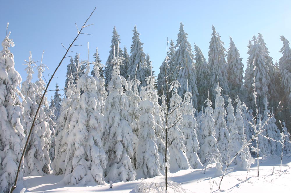 Pudelmützen aus Schnee