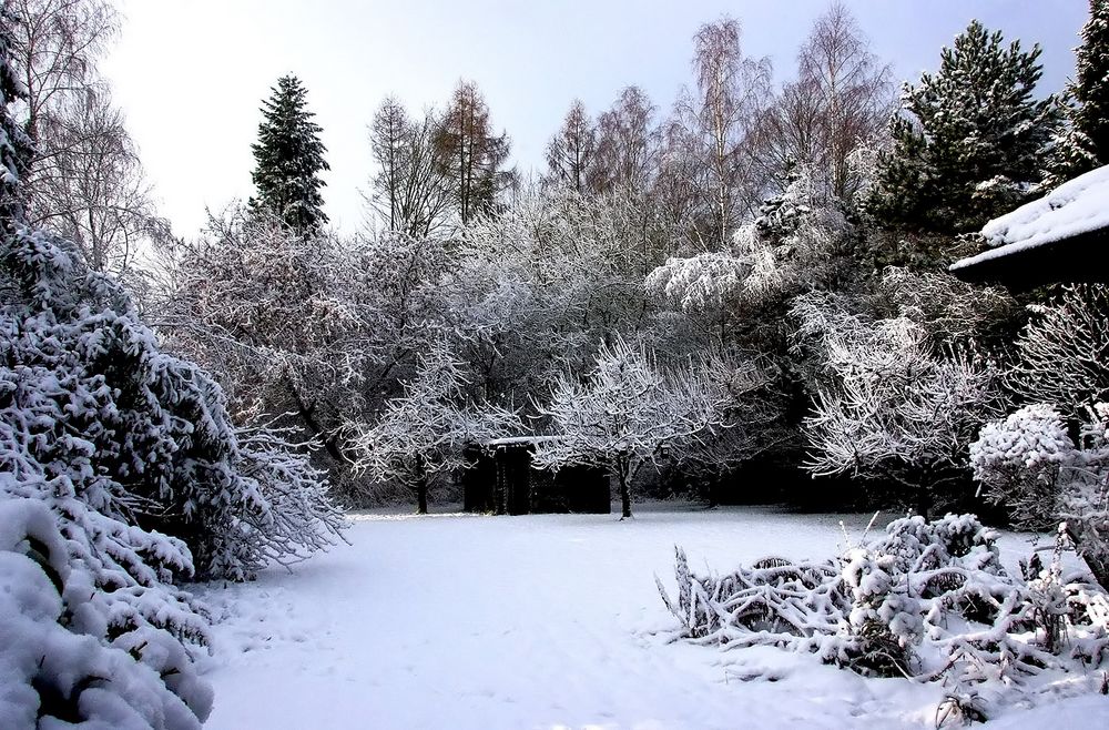 Puderzucker in der Zeit vor Weihnachten ...