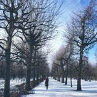 Puderzucker, Schloss Schönbrunn, Wien